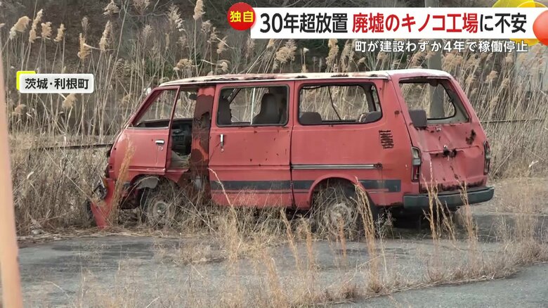 敷地内にある車も雨ざらしの状態で置き去られていた