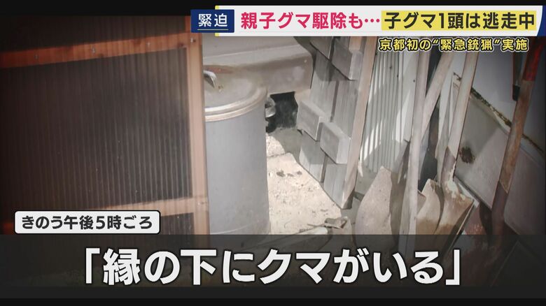 「縁の下にクマがいる」驚きの通報