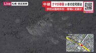 【ヒグマ速報】札幌の住宅街で北方向へと残る約10センチの足跡―付近小中学校が臨時休校〈クマが近くに潜んでいる可能性も…茂みを避けるなど市が注意呼びかけ〉「体長1メートルぐらい」クマ1頭の行方は_北海道