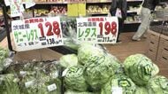 【最新野菜価格】春を迎え北海道産の野菜がスーパーに！いま賢く野菜を買うポイントを紹介―主食のコメは値下げ傾向も…食品の値上げラッシュで4月からはあの商品が値上がりに