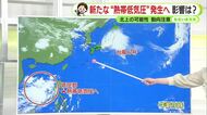 早くも次の「台風のたまご」＝熱帯低気圧が発生へ　静岡県内への影響は【静岡・ただいま天気 6/3】