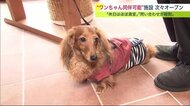 愛犬と特別な時間を過ごせる! ペット同伴可能ホテル続々誕生【北海道発】