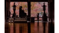 「四季と娘の成長」5年がかりの“4枚の同ポジ写真”が尊い…思い出深い1枚を父親に聞いた