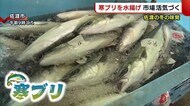 “寒ブリ”約100本を水揚げ! 冬の味覚に市場活気づく【新潟・佐渡市】