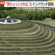“頭ひょっこり大仏”にインバウンド人気殺到！北海道最大級の霊園が“映えスポット”化　無数の巨大「モアイ像」も…札幌市