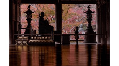 「四季と娘の成長」5年がかりの“4枚の同ポジ写真”が尊い…思い出深い1枚を父親に聞いた