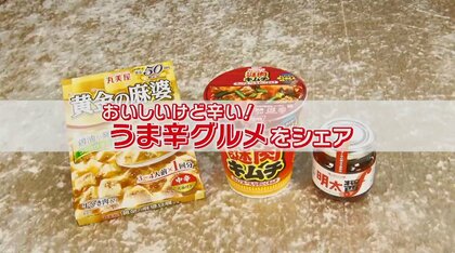 「黄金の麻婆豆腐」「激辛明太子の調味料」 冬にぴったりなおうちで食べたい‟うま辛グルメ”3選