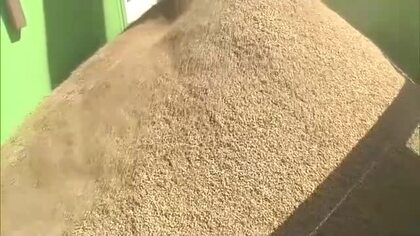 2025年産米の作況単収指数　秋田県全体で「103」　渇水や大雨被害の影響少なく東北6県で最高に