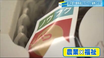 荒れたぶどう園を有名パン会社が再生 引きこもりや障害者雇用で「農福連携」 ビジネスと社会貢献の両立へ【広島発】