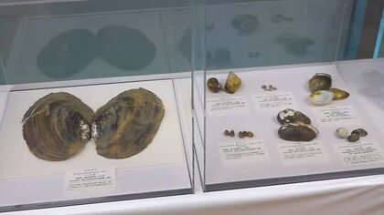 三方五湖周辺の自然環境の変化を紹介　福井県年縞博物館と若狭三方縄文博物館で特別展　10月12日まで