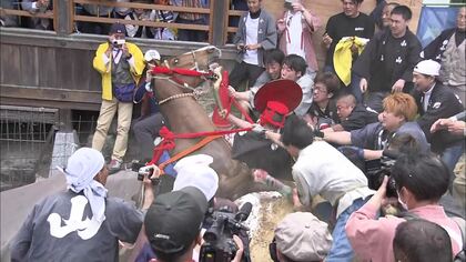 歴史の継承かアップデートか…“動物虐待”との批判で揺れる「上げ馬神事」700年の伝統が迎えた転換期