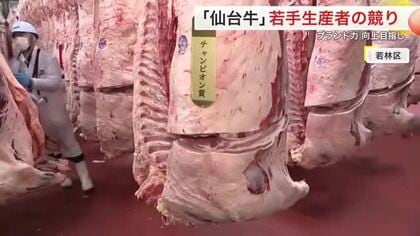 若手生産者による黒毛和牛の競り　チャンピオン牛はキロ２７１６円　仙台牛のブランド力向上へ〈宮城〉