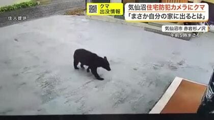「まさか自分の家に出るとは」気仙沼市の住宅地にクマ出没　敷地内を歩き回る姿を防犯カメラが捉える　宮城
