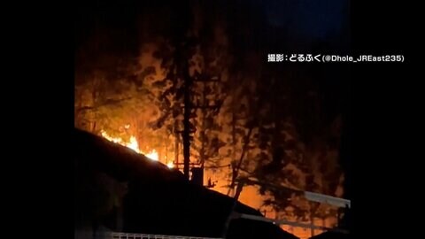 「山が燃えている」埼玉・横瀬町で山林火災　1時間半後に鎮火　けが人なし