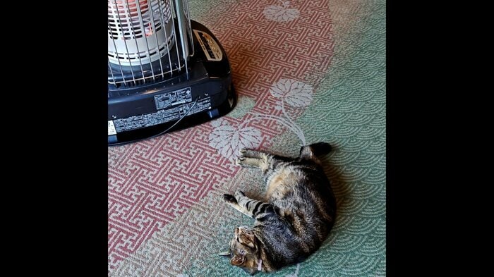 ストーブの近くでゴロゴロ