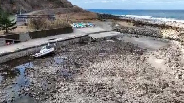 輪島の隆起の様子 港から海が消え船が乗り上げている