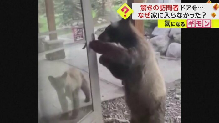 器用に家のドアを開けるクマ(Kari Bumgarner via TMX)
