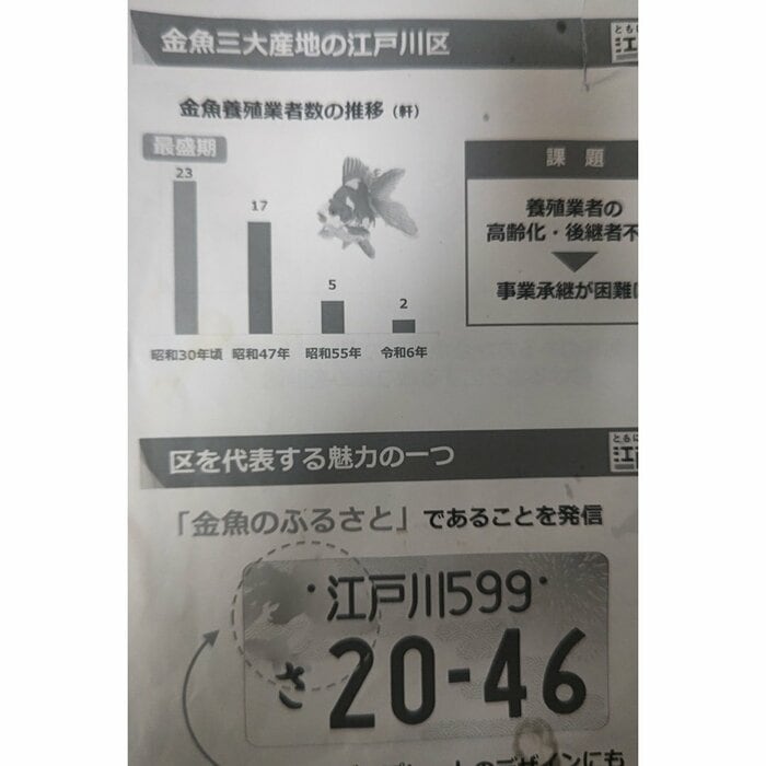 「金魚のふるさと」だという東京・江戸川区