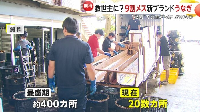 浜名湖の養殖池は約400カ所から20数カ所まで減少した