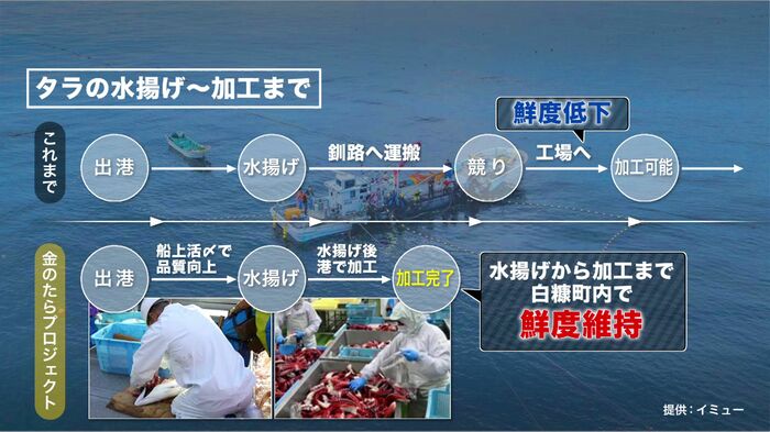 これまでのタラの水揚げから加工までと「金のたらプロジェクト」の比較(提供:イミュ―)