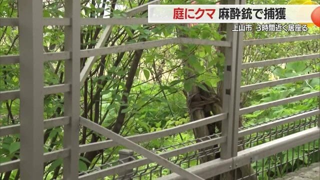 2日前まで壊れていなかったフェンスが壊れていて、警察はクマが壊した可能性が高いとみている