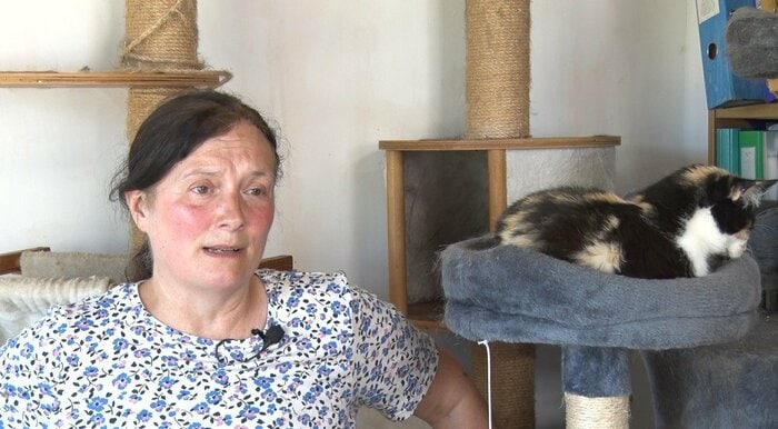ファイリー猫保護センターのティナ・ルイスさん