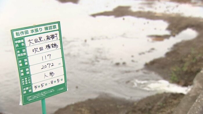 水張りの様子