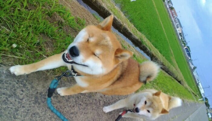 提供:マヨネさん
