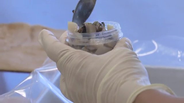 放射性物質の検査を重ね安全性を確認