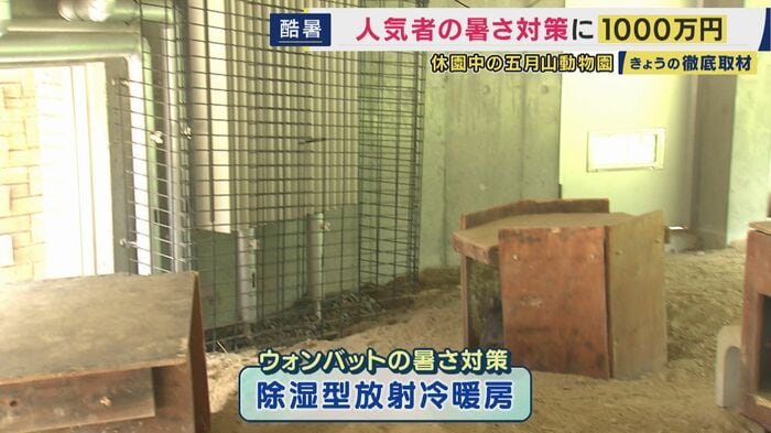 ウォンバットの室内には冷温パネル