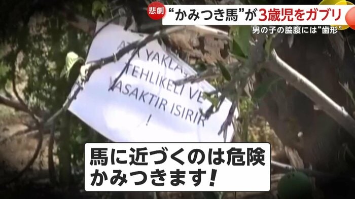 現場に張られていた「かみつき注意」の注意書き(IHA)