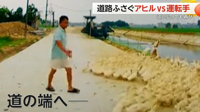 (スペクター・コミュニケーションズ)