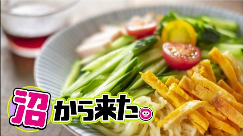 夏に食べたい絶品、ご当地「冷やし麺」 は？40年間毎日食べ続ける“麺マニア”が厳選｜FNNプライムオンライン