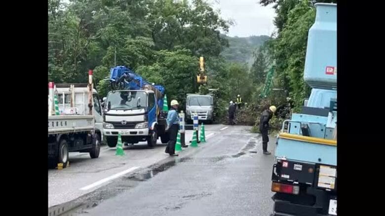 いの町の国道で土砂崩れ｜FNNプライムオンライン