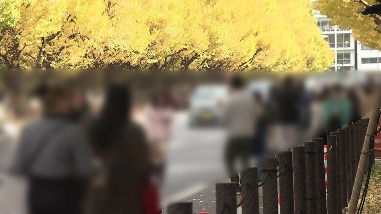 「パリでは普通です」紅葉スポットが“無法地帯化”　車道の真ん中で「撮影会」観光客の迷惑行為相次ぐ…クラクション無視も　東京・明治神宮イチョウ並木｜FNNプライムオンライン