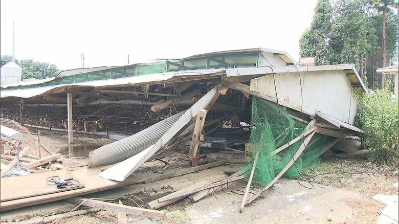 埼玉・坂戸市で発生の突風は「ダウンバースト」か「ガストフロント」か｜FNNプライムオンライン