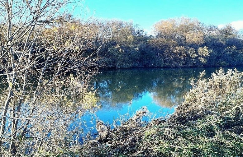 【続報】「豊平川にうつ伏せで浮いている人がいる」全裸の女性遺体が川で見つかる…所持品なし…警察が身元の特定急ぐ〈北海道札幌市〉｜FNNプライムオンライン