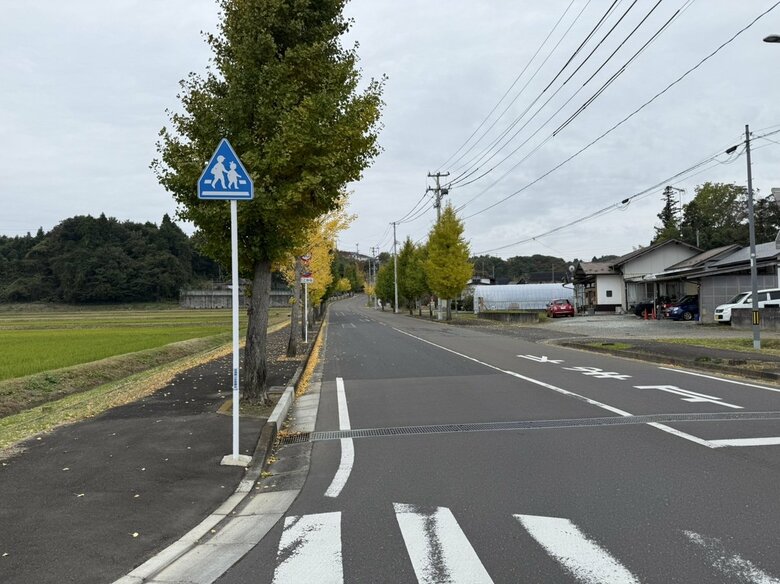 【速報】仙台・住宅街のイチョウの木にクマが登り“居座る”も約5時間後に駆除 けが人なし|FNNプライムオンライン