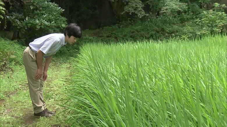 令和4年8月(2022年) 16歳の誕生日映像(赤坂御用地)