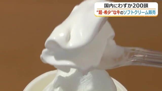 滑らかな口溶けと濃厚な味わい