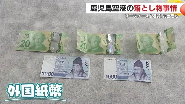 国際線再開で変わる忘れ物事情