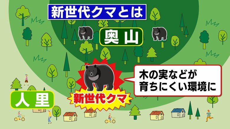 エサ不足で人里まで　そこで育った「新世代クマ」は人慣れしている