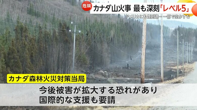 国際的な支援も要請しているカナダの森林火災対策当局