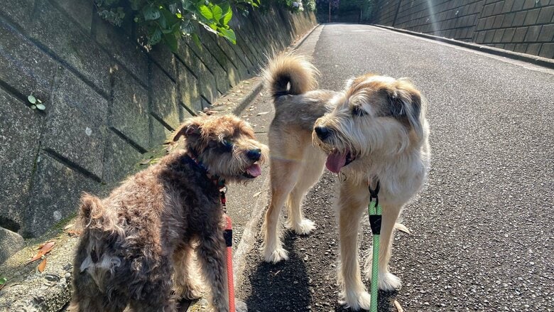 血のつながりはなくても、兄妹のような絆がある