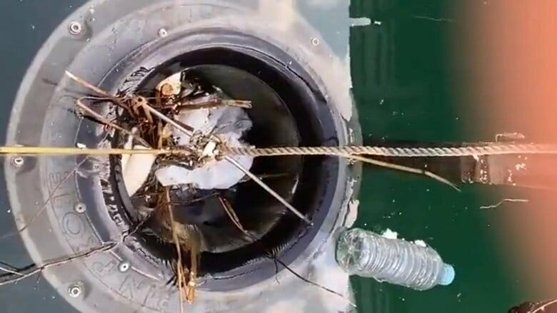 ペットボトルを回収するまで（2）