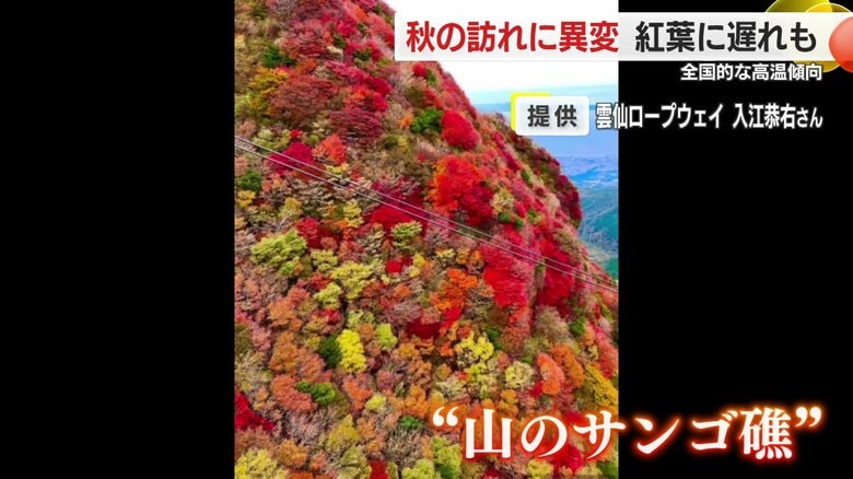 例年、見ごたえある紅葉が楽しめる