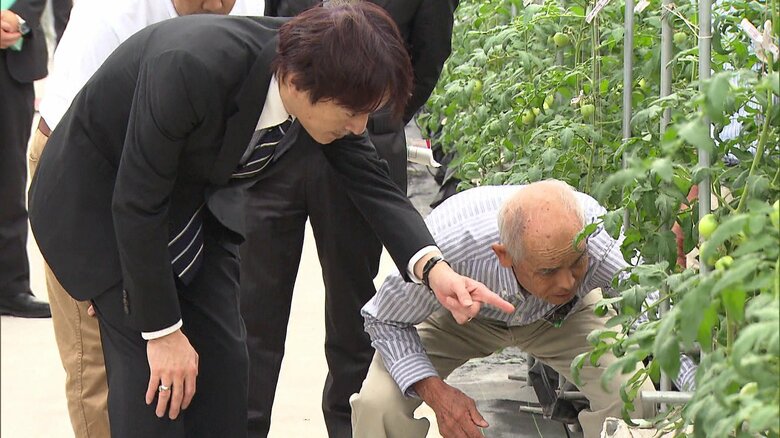 平成30年9月 トマト農家をご視察(静岡･焼津市)