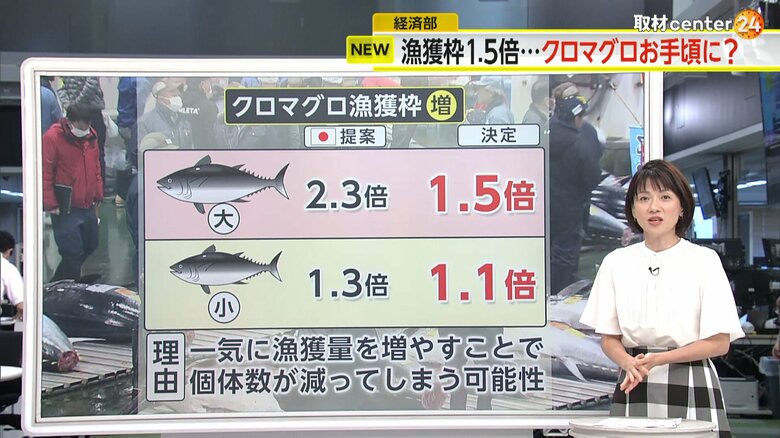 クロマグロの漁獲枠に関する日本の提案と今回決定した増枠分