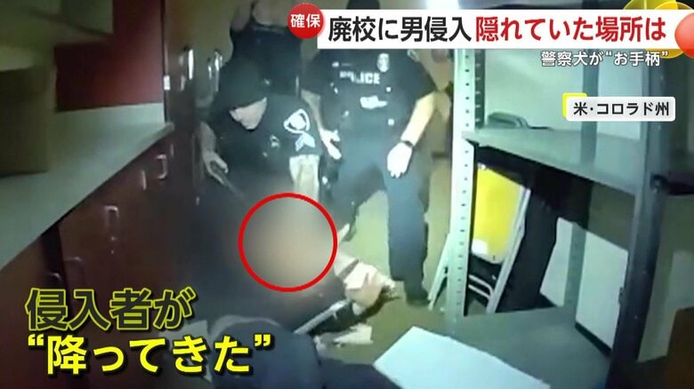 落ちてきた侵入者（Westminster PD）