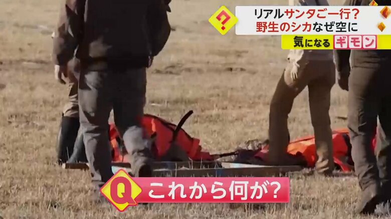 ヘリコプターから降ろされたシカに近づく人たち